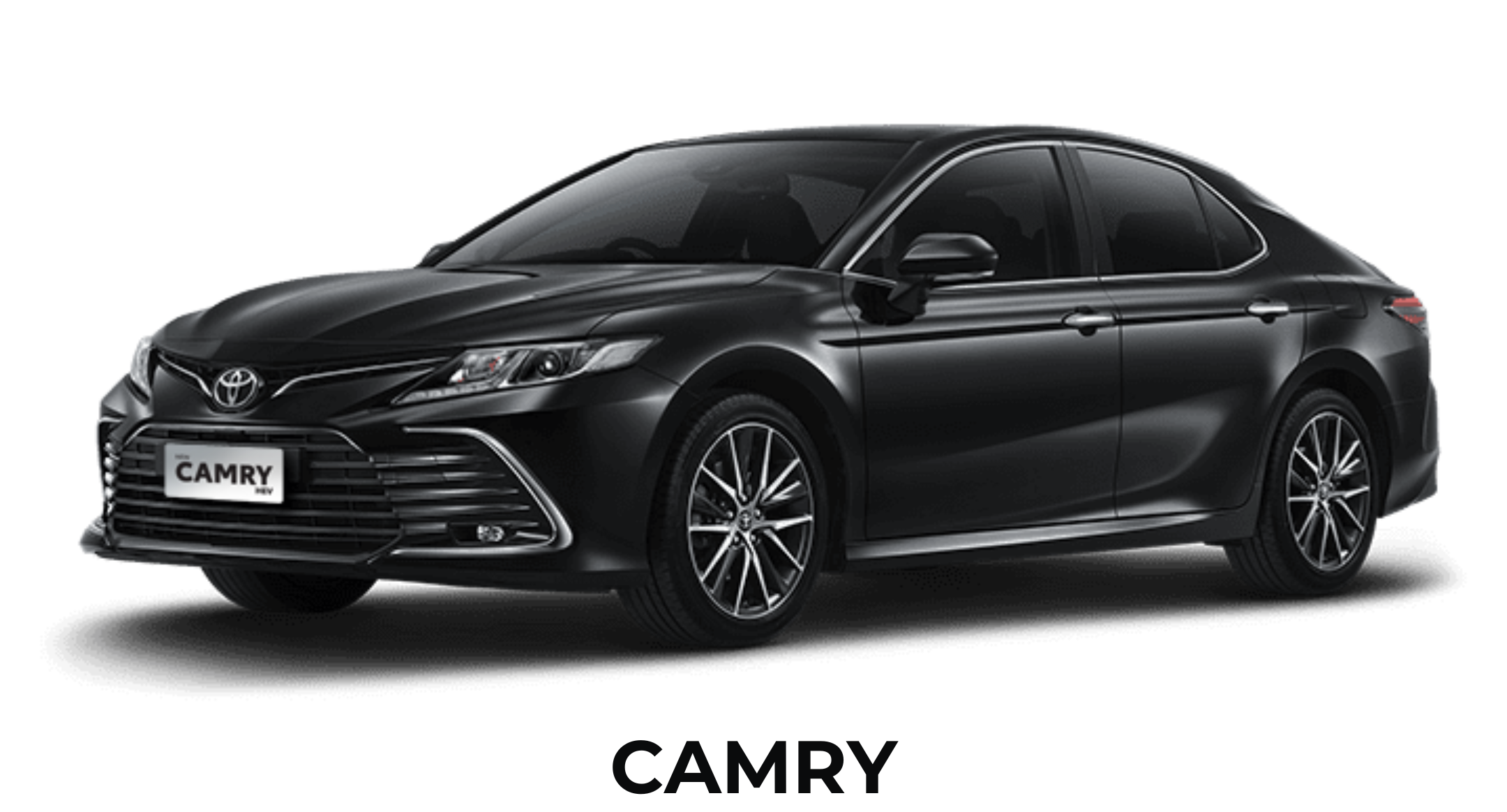 GR COROLLA (4)