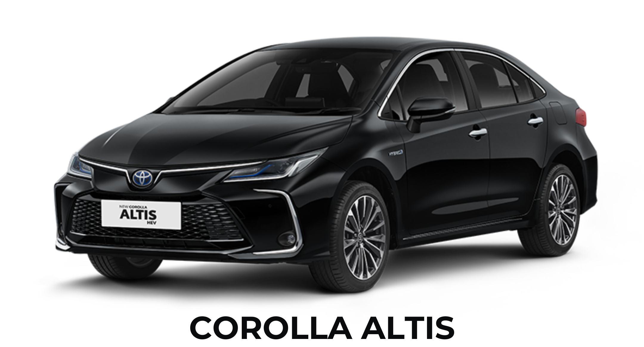 GR COROLLA (5)